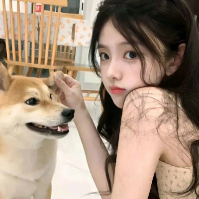 洪拳小子